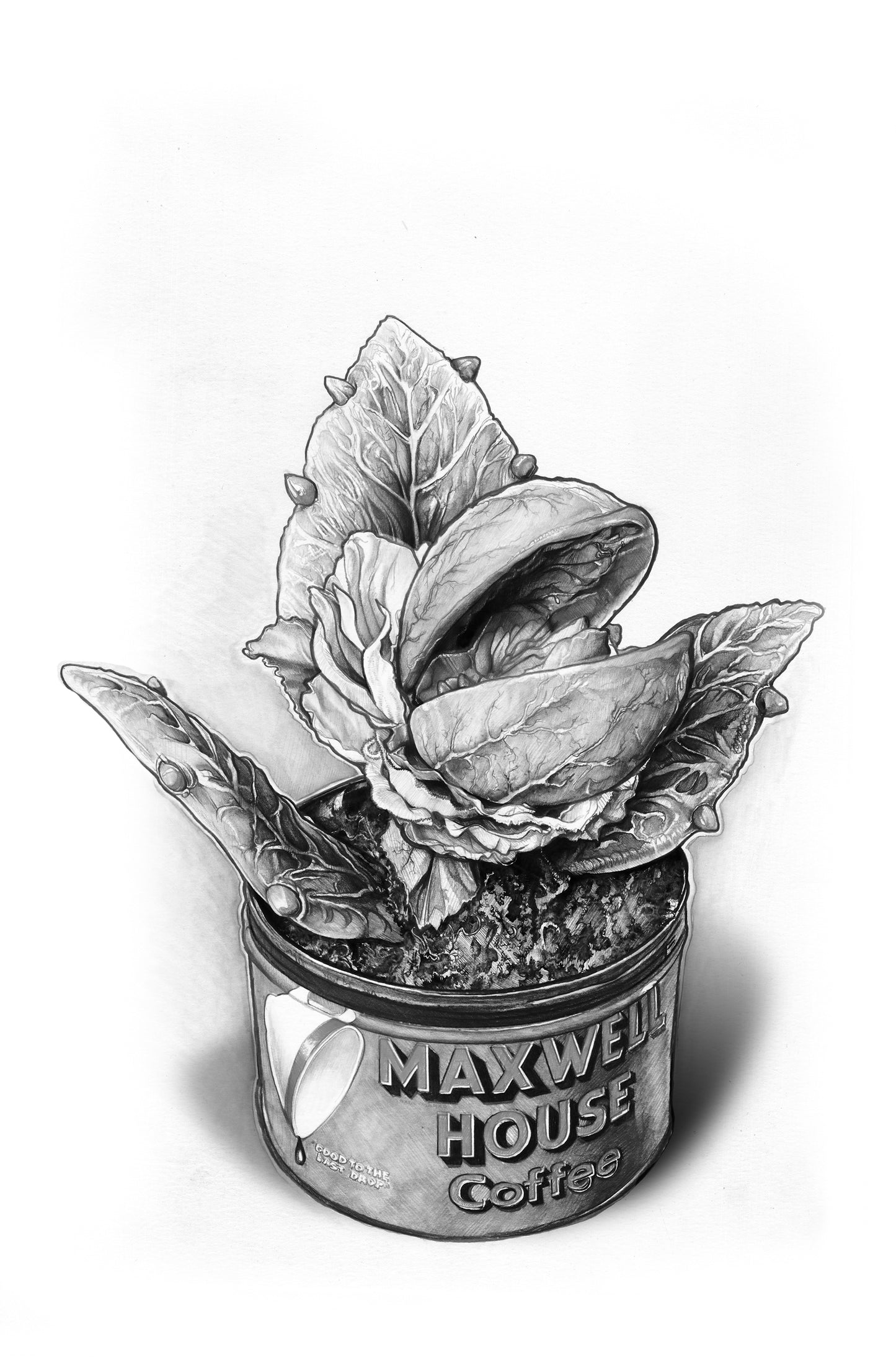Audrey 2 (Original)